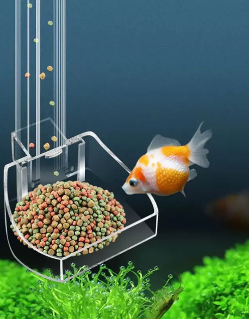 Load image into Gallery viewer, Aquarium Acrylic Feeding Tube Anti-Stuck Fish Design Transparent Fish Feeder Suitable for a Variety of Fish Tanks
