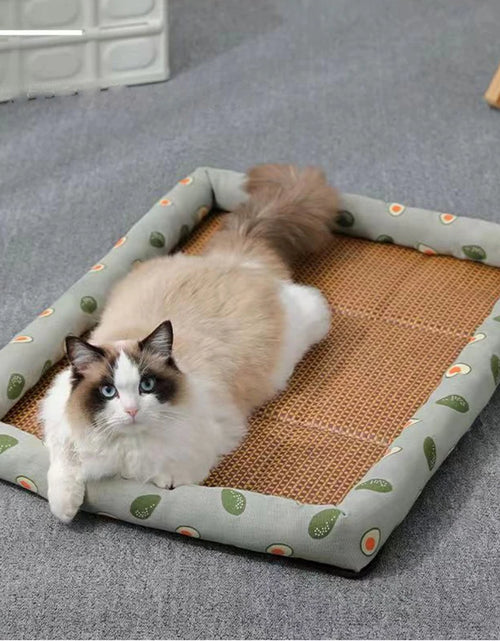 Load image into Gallery viewer, MADDEN Summer Cat Bed Lightweight Breathable Pet Rattan Mat Cat Nest Mat Ice Nest Dog Bed Cat Cool Nest Small Dogs
