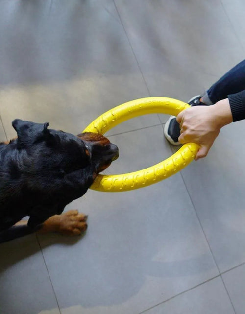 Load image into Gallery viewer, Dog Ring Toys Indestructible Chewing Flying Floating Training Tools Fetch for Small Medium Large Dogs Throwing Catching Flying
